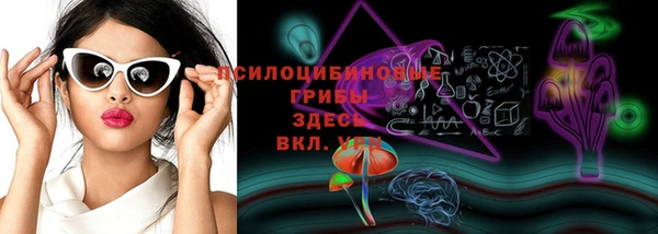 индика Ростов