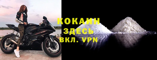 индика Ростов
