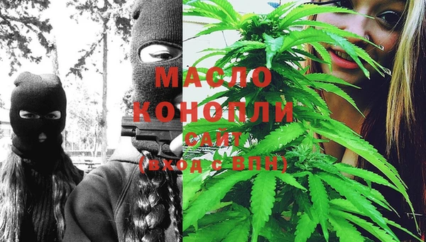 индика Ростов