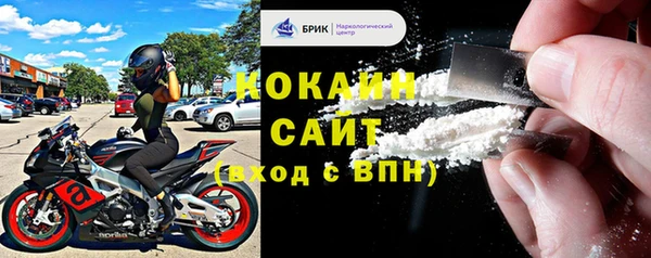 индика Ростов