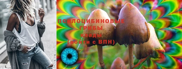 индика Ростов