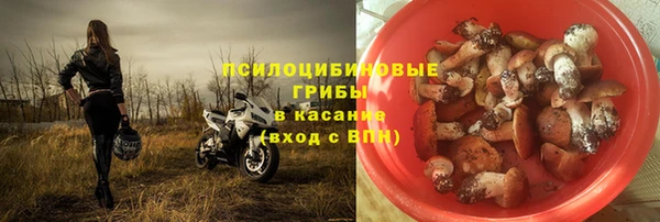 индика Ростов