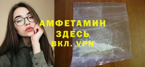 индика Ростов